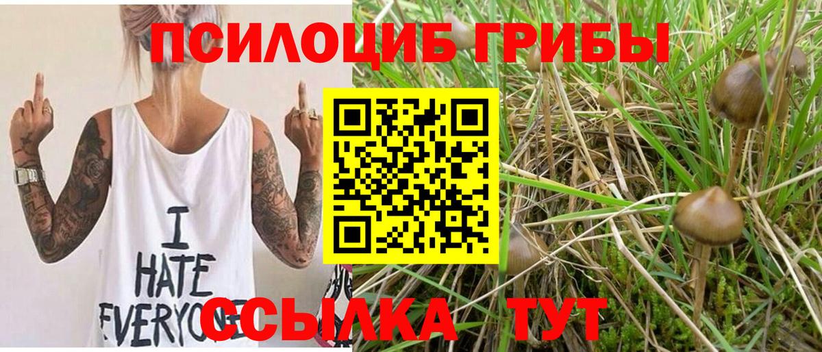 Псилоцибиновые грибы MAGIC MUSHROOMS Донецк