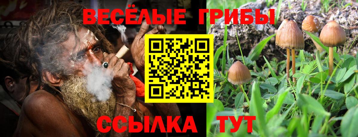 Галлюциногенные грибы мицелий  Вход с VPN  Донецк 